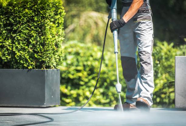 Best Rust Removal  in Riverside, IA