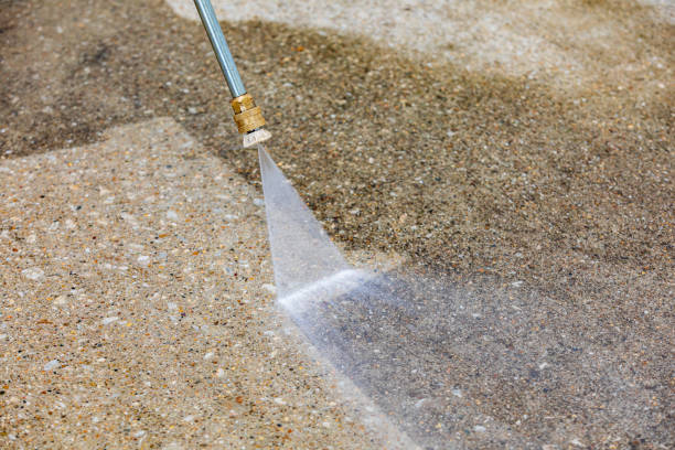 Best Soft Washing  in Riverside, IA